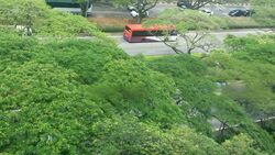 Blk 514 Bedok North Avenue 2 (Bedok), HDB 2 Rooms #456673821